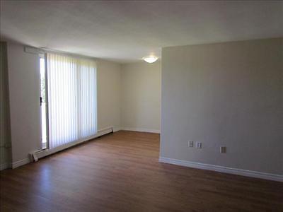 GREAT 1 Bedroom Apartment for Rent Minutes to Downtown!