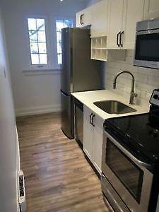 ONE MONTH FREE!!! Gorgeous Apartments Downtown !!