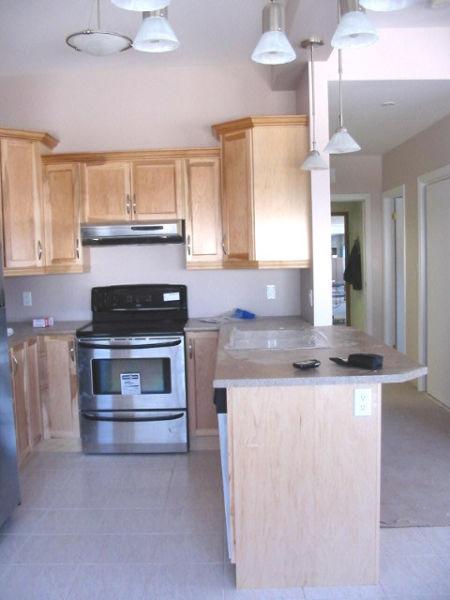 Upscale downtown apartment with parking and private deck