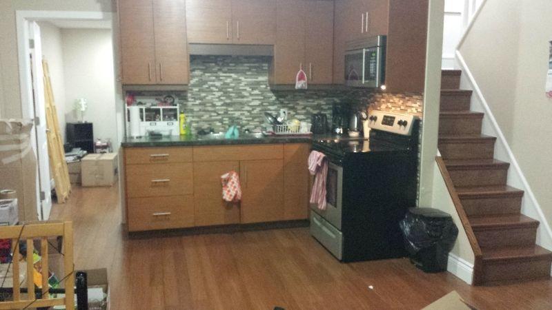 2 bedroom newly renovated apartment for rent