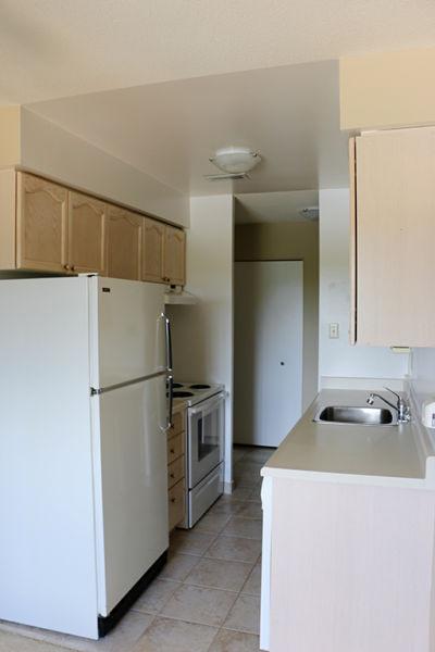 Need more space? Ridgetown 2 Bedroom DELUXE Apartment for Rent