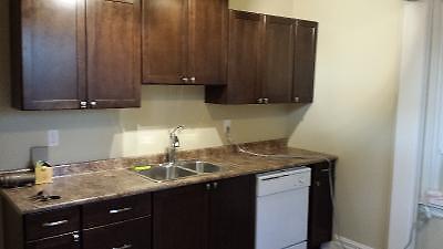 BRIGHT BEAUTIFUL NEWLY RENOVATED - DOWNTOWN - 2 BDRM WITH OFFICE