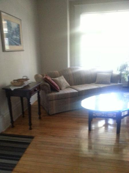 FULLY FURNISHED 2 BEDROOM APT - 10 MINUTES TO HOSPITALS/CAMPUS