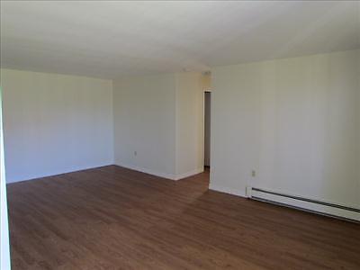 2 Bedroom Apartment for Rent MINUTES TO DOWNTOWN!