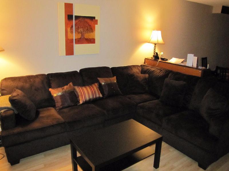 Bright Furnished 2-Storey Condo Available.Close to Universities