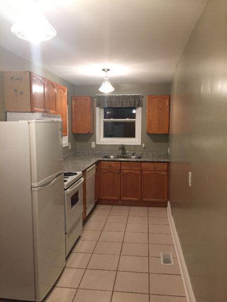 Newly Renovated 3 bedroom Student Apartment