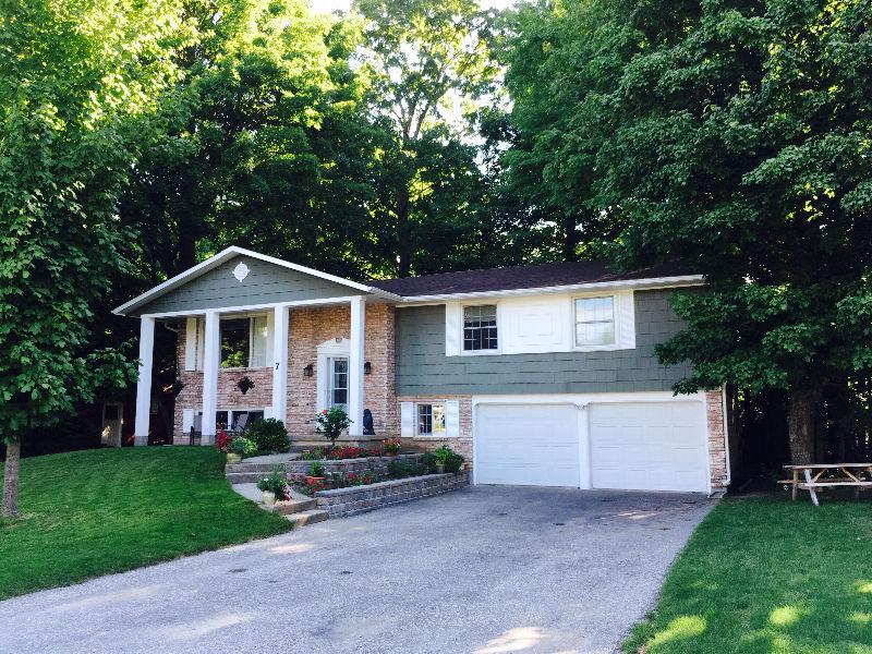 ELMIRA: Outstanding open concept bungalow on large wooded lot
