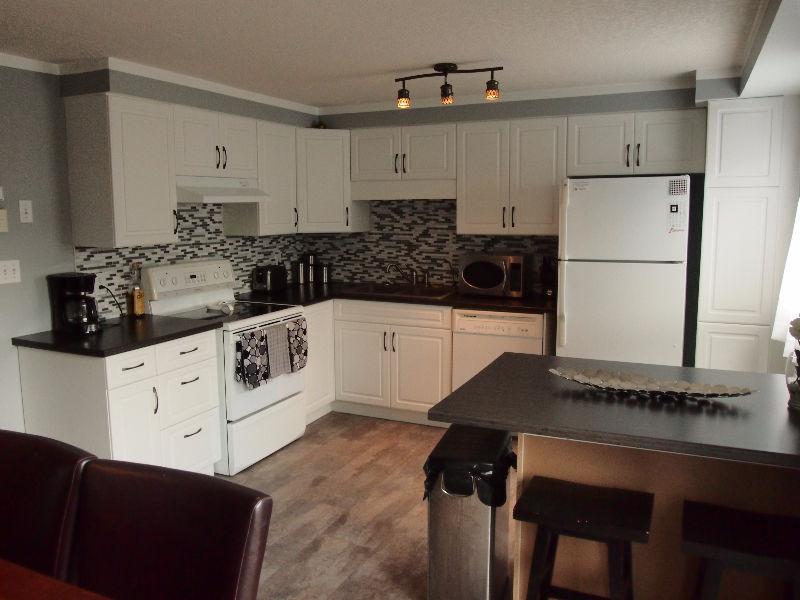 Upscale-Spacious-Clean Multilevel Town Home Avail. Oct 15 $1750