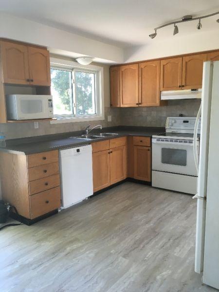 Completely renovated 3 Bedroom semi