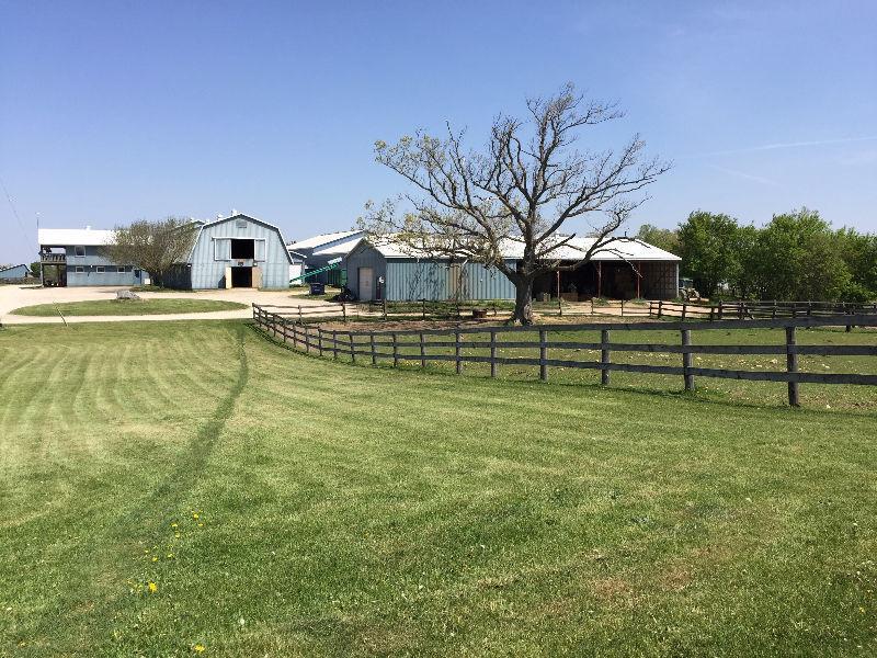 Are you looking for a BOARDING/RIDING HORSE FARM in Brant???