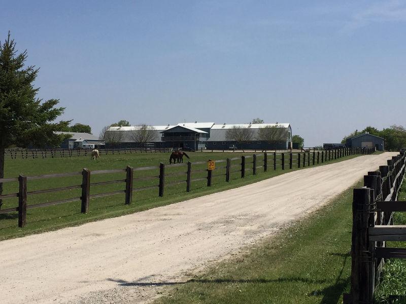 Are you looking for a BOARDING/RIDING HORSE FARM in Brant???