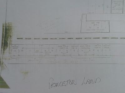 Potential Re- Zoning in Princeton - 100` x 396`
