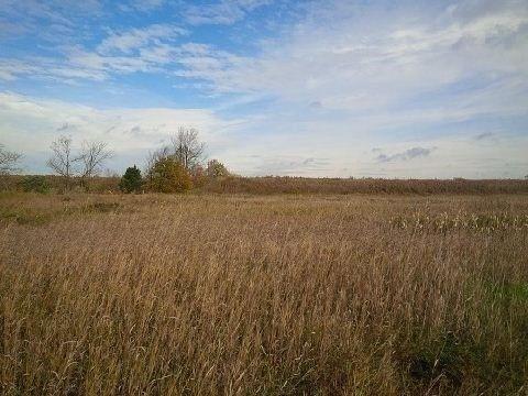 Vacant Land -------For Rural Residential