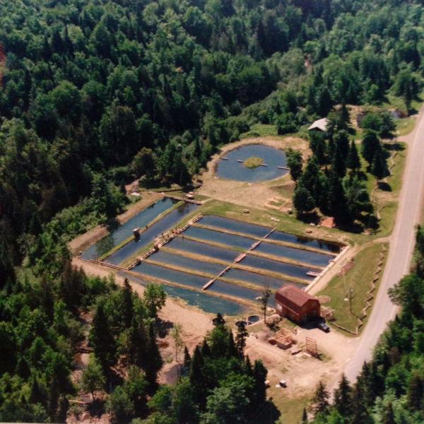 Cabin and fish farm on 8 acres!