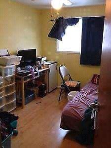 1 All Incl. Room Near SLC for Responsible Student/Professional