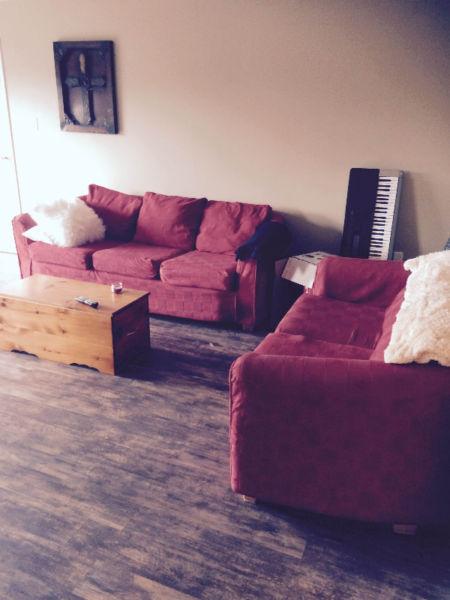 Roommate wanted October 1 - $465 - 1250 Sandford Street