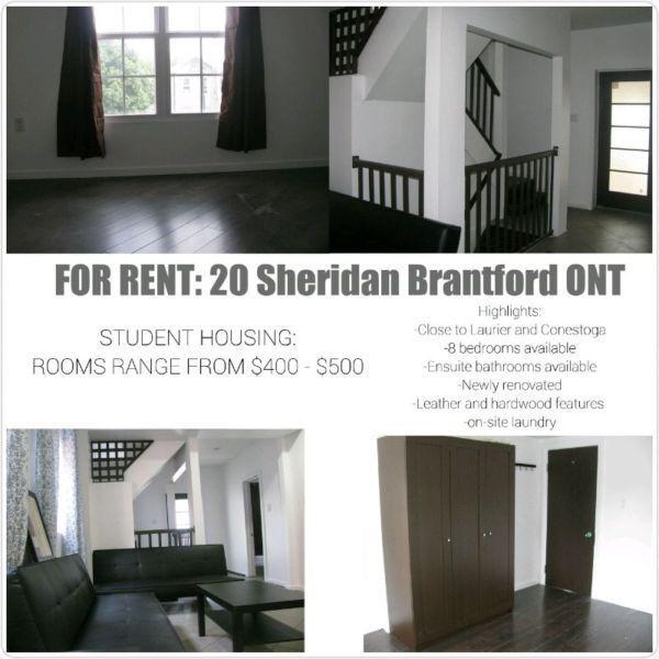 Comfortable and spacious 8 bedroom student home