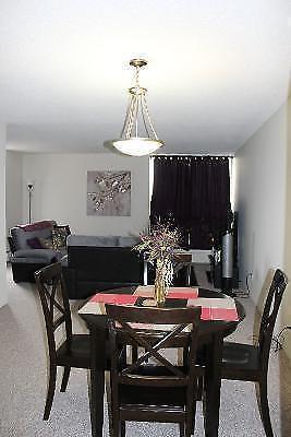 Large Room in a 2BDR Condo- 4 to 8 month lease/ All included