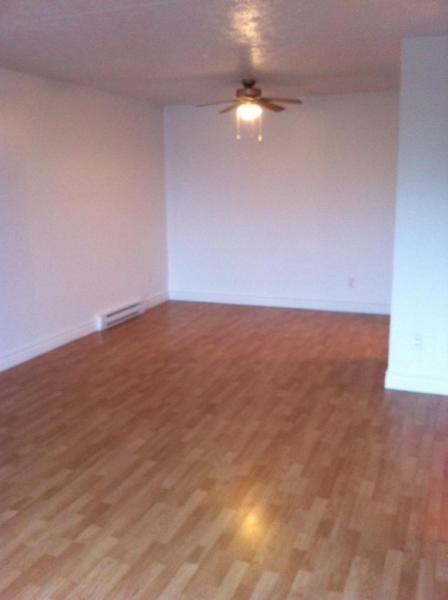 4 ½ LUMINEUX |  | LAC BOIVIN | ST-MICHEL