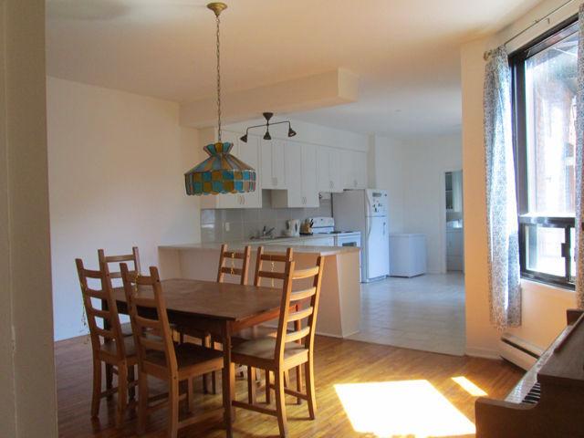 Superbe 1500pi2 ensoleillé - bord de l'eau à Lachine ! WOW!