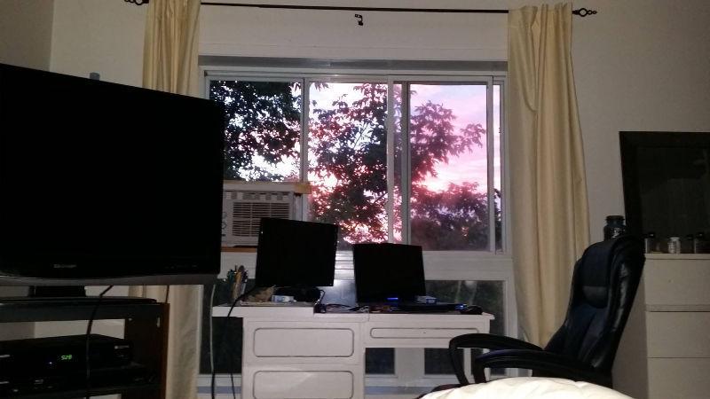 Loft 1 1/2 à louer