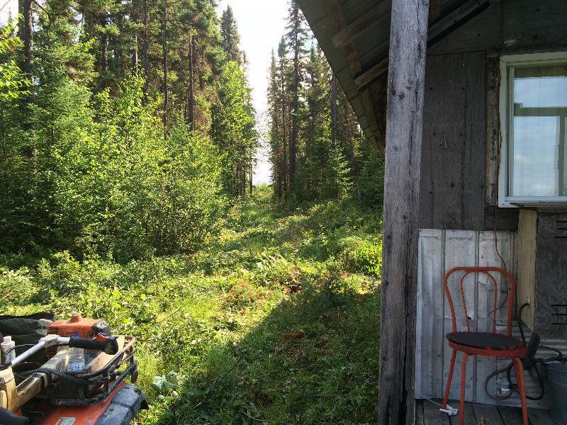 Camp de chasse ZONE 16 (Abitibi)