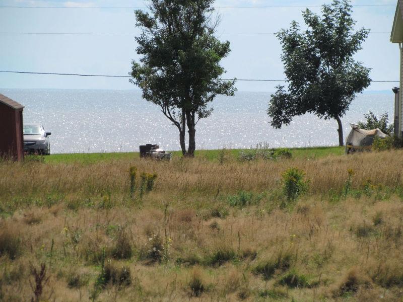 How would you like to own your own little piece of paradise