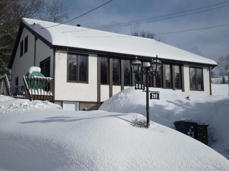 Grand chalet 4 ch. à louer à Ste-Agathe-des-Monts ()