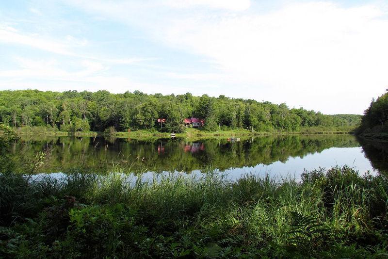 Private lake property for sale - Fishing and Hunting-Shock Price