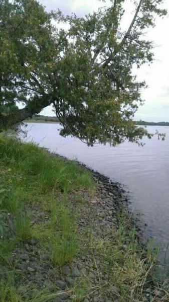 BORD DE L'EAU pour les amoureux de la nature !