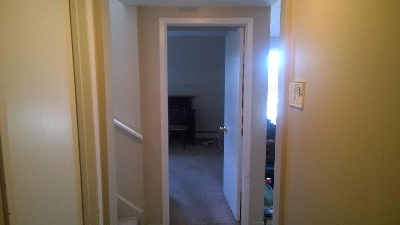 Apartment at Queen Street Roommate Needed