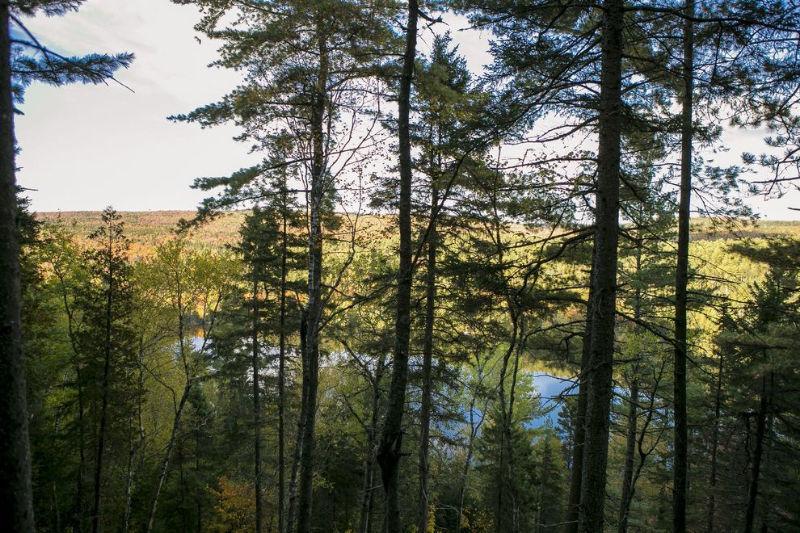 Hors du commun : vue sur le lac, aménagé et prêt à construire