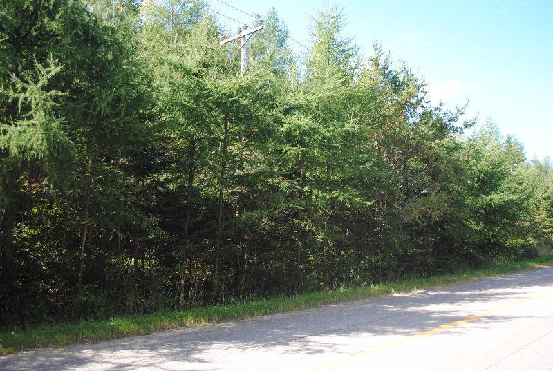 Flat lot! Build your dream home in Mont-Tremblant
