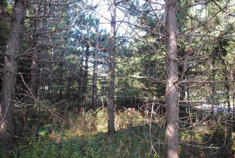 Flat lot! Build your dream home in Mont-Tremblant