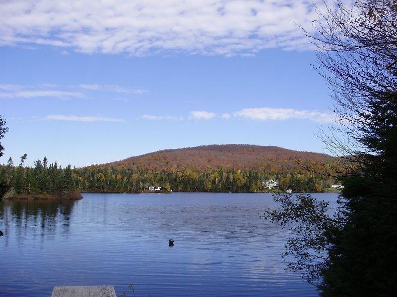 grand terrain bord du lac papineau ste-agathe