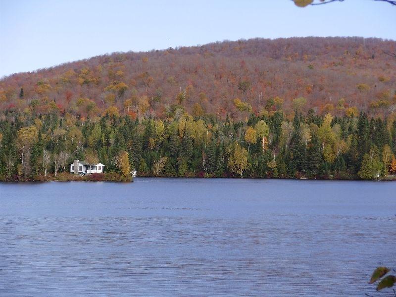 grand terrain bord du lac papineau ste-agathe