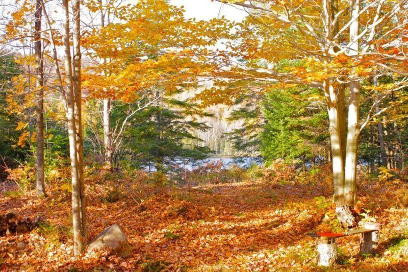 Terrain - à vendre - Saint-Faustin/Lac-Carré - 18547586