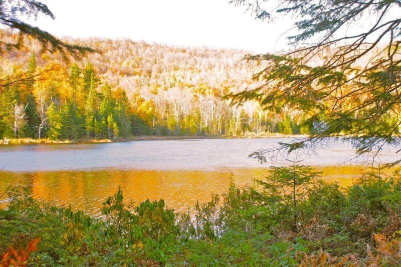 Terrain - à vendre - Saint-Faustin/Lac-Carré - 18547586