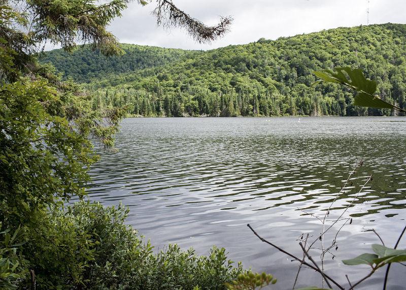 TERRAIN AU BORD DE L'EAU, LAC SAGUAY