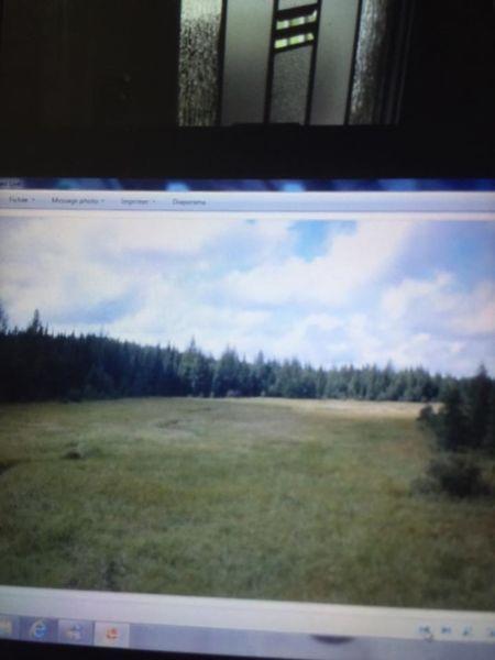Camp chasse pres riviere kinojevis