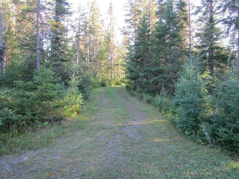 terrain 3.83 acres