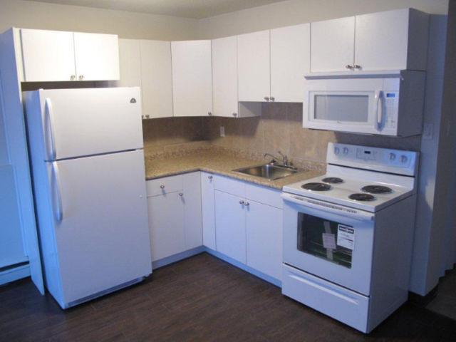 $550 first month rent. 1434 Pasqua Renovated