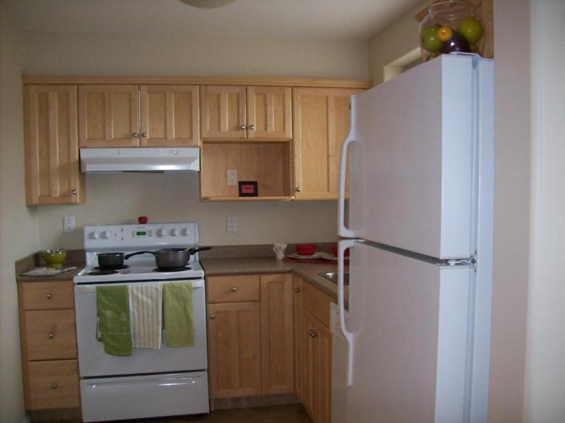 Beautiful 1 Bedroom Apartment w/ Insuite Laundry *Pets Welcome*