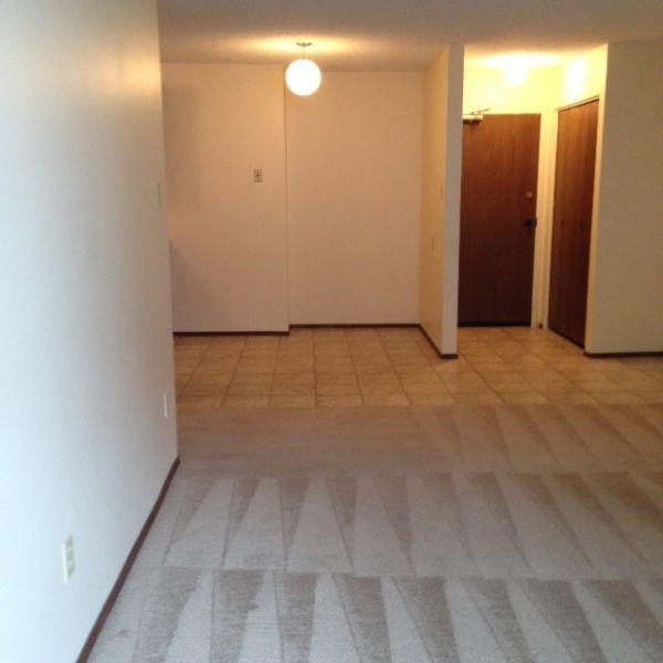 Clean & Move-In Ready 2BD/1BA Apartment! Call 306-314-2035