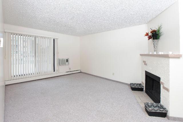 Great 2 Bedroom Apartment with Wood-Burning Fireplace!