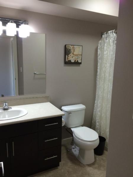 McCarthy Ridge- Furnished 2 bedroom, 2 bathroom avail October 15