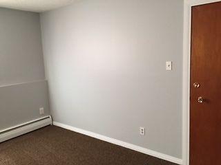 RECENTLY RENOVATED 2 BEDROOM APARTMENT FOR RENT