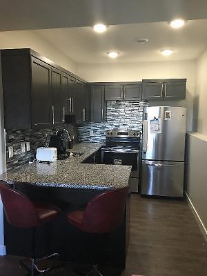 NEW 2 BEDROOM WITH LAUNDRY (EVERGREEN AREA)