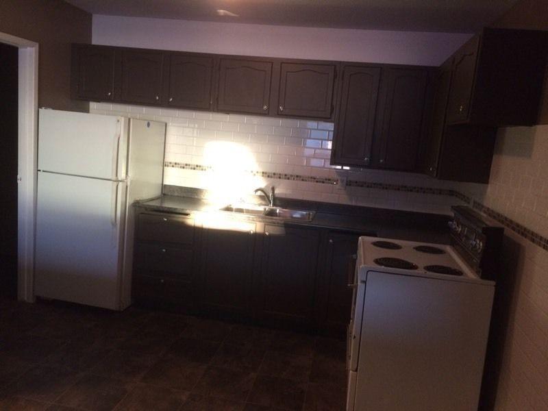 Renovated 2 bedroom condo for rent near 8th st