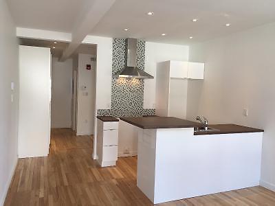 3½ Loft centre-ville de